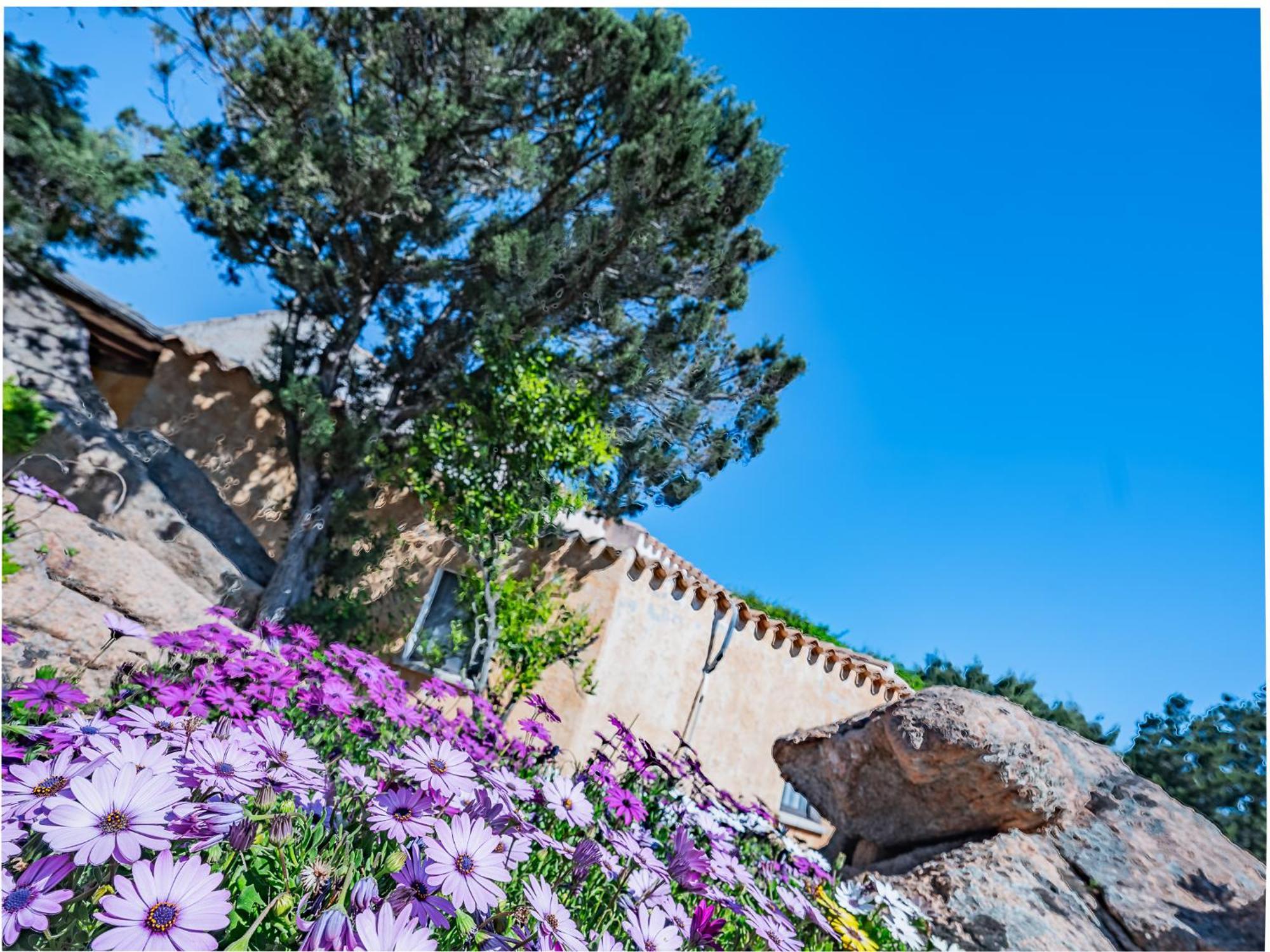 Sardinia Family Villas - Villa Nina With Private Pool Abbiadori Extérieur photo